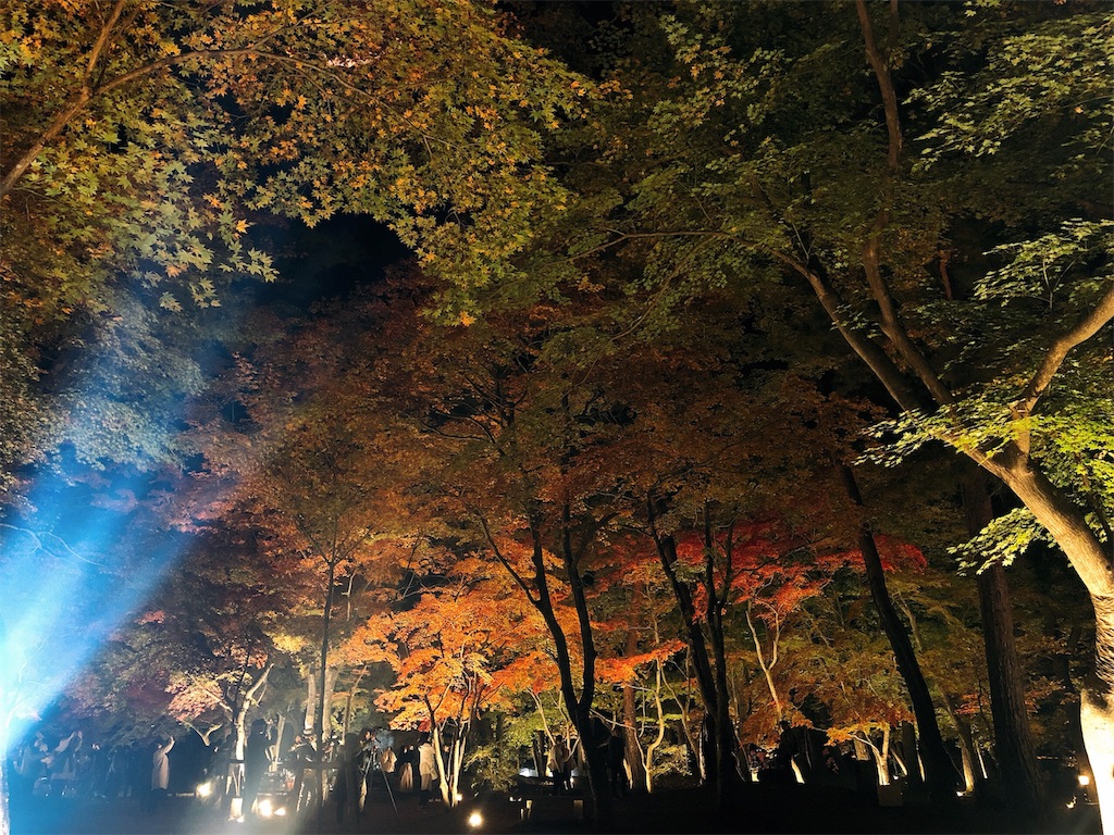 f:id:nigoriyu:20191120141938j:image