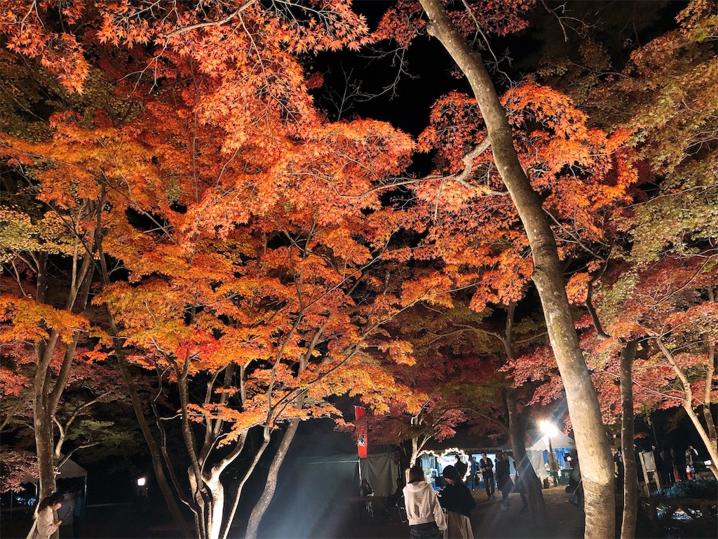 f:id:nigoriyu:20191120142031j:image