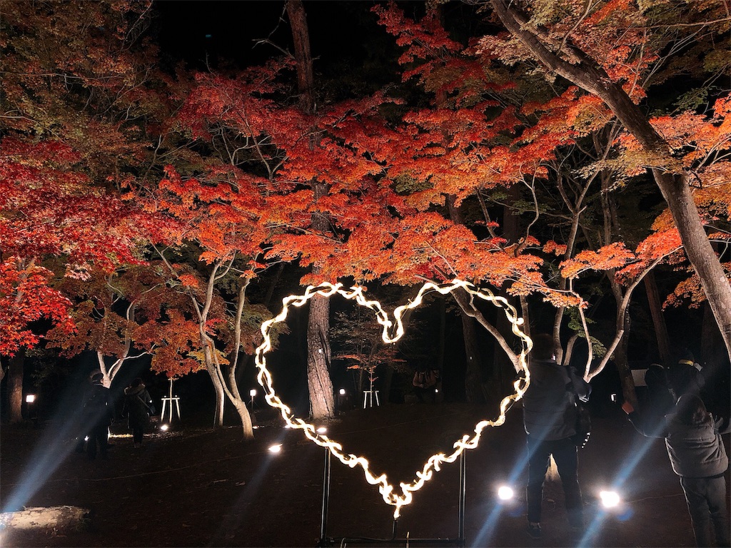 f:id:nigoriyu:20191120142043j:image
