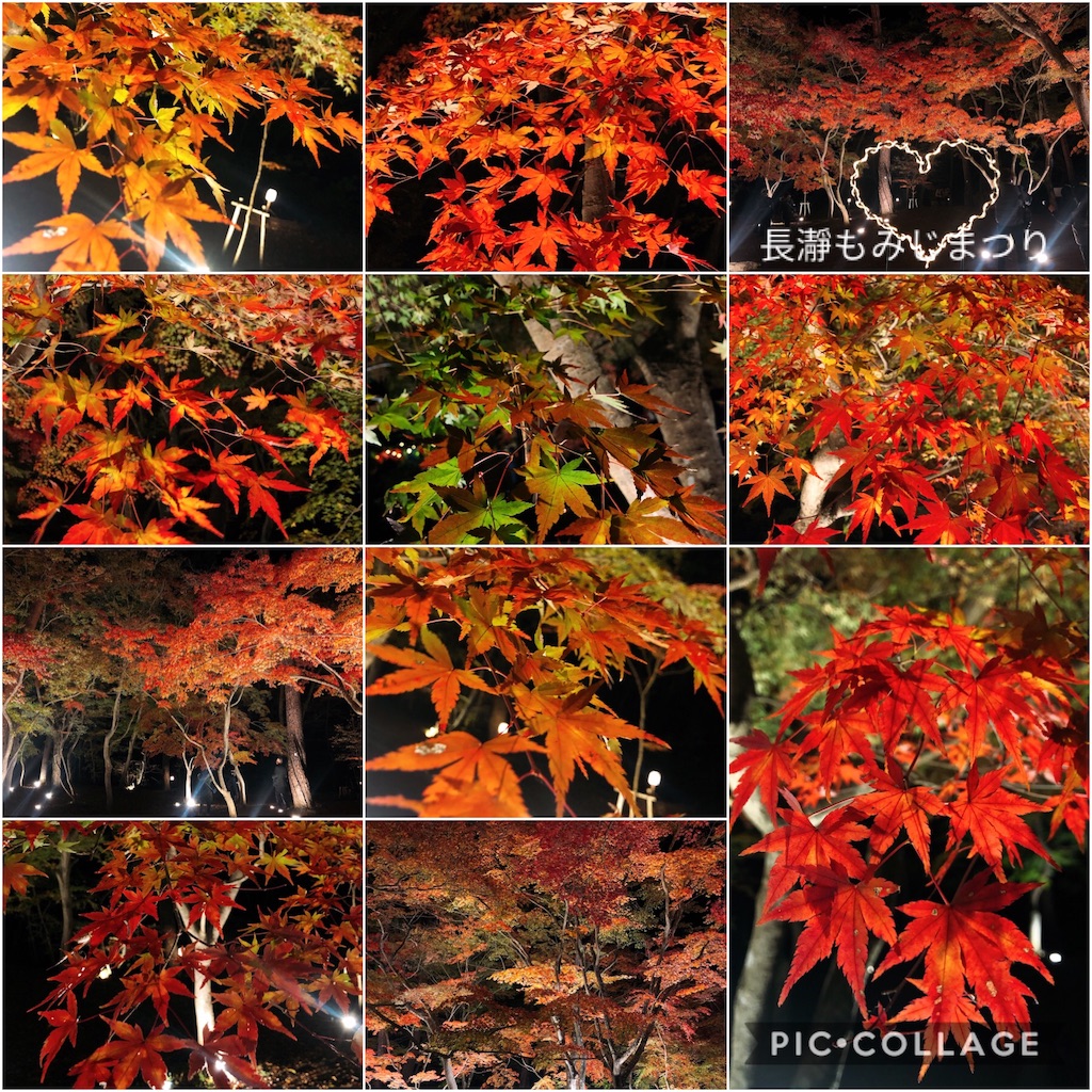 f:id:nigoriyu:20191120144026j:image