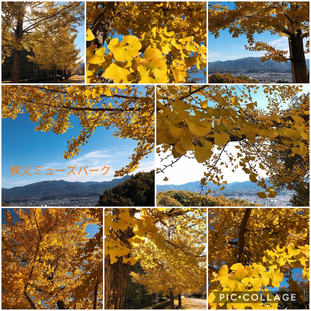 f:id:nigoriyu:20191120144059j:image