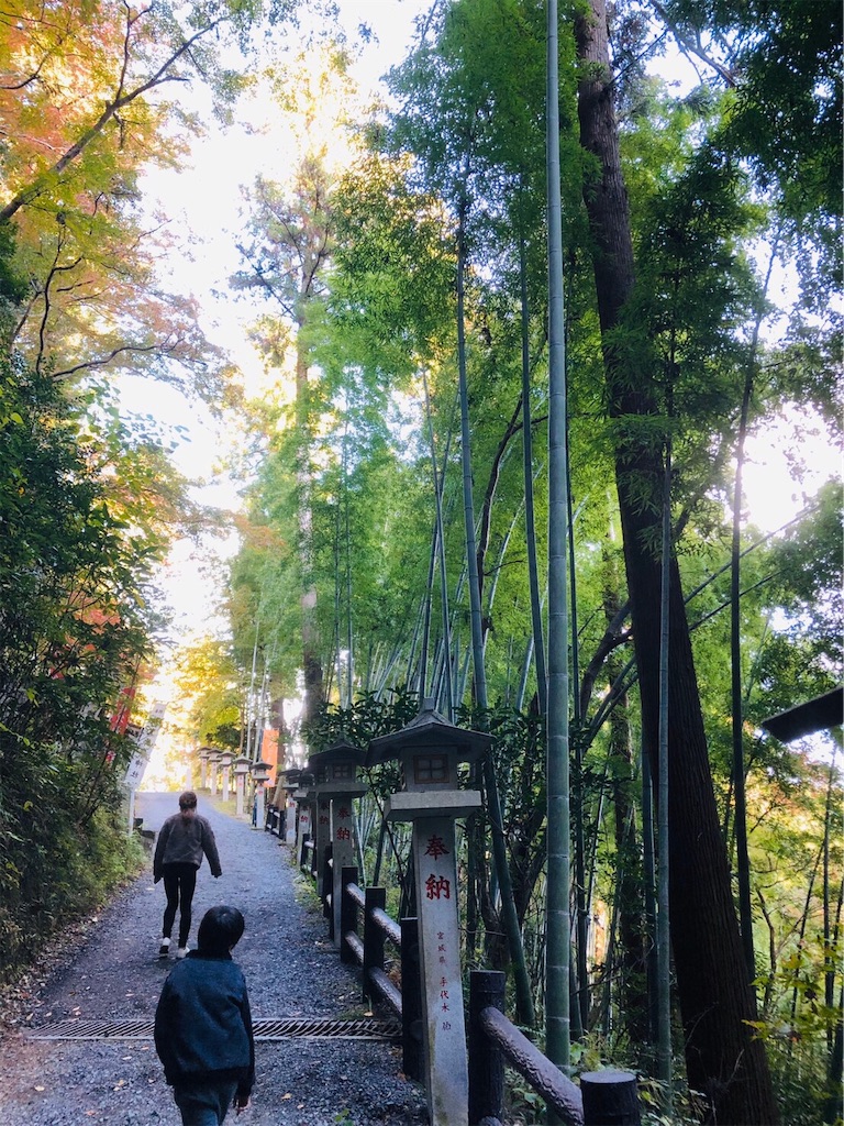 f:id:nigoriyu:20191121213522j:image