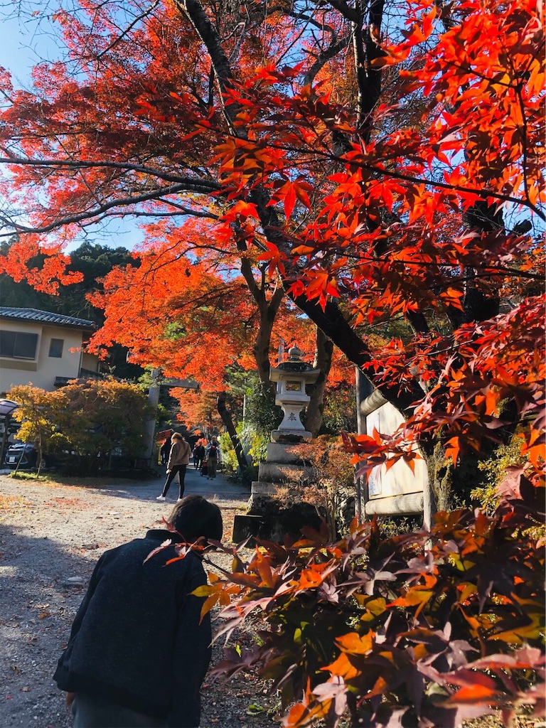 f:id:nigoriyu:20191121213531j:image