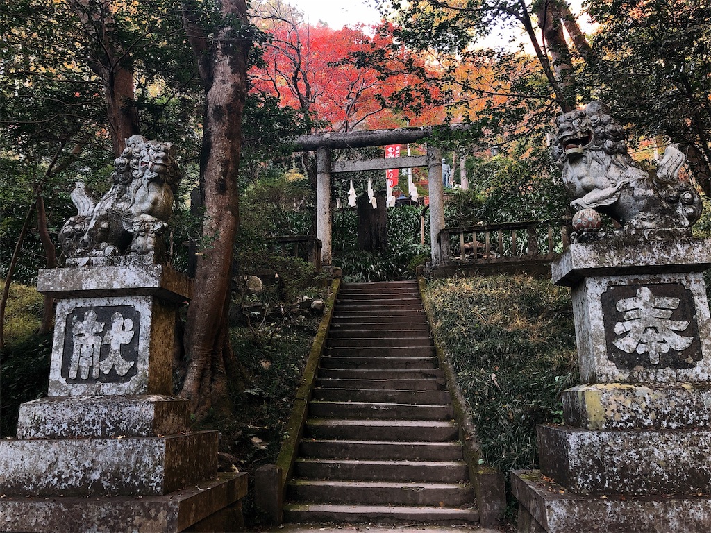 f:id:nigoriyu:20191121213638j:image