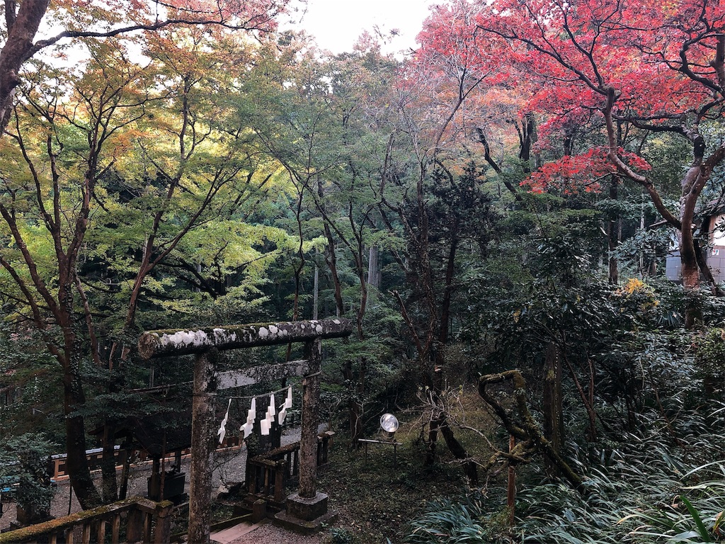 f:id:nigoriyu:20191121213655j:image