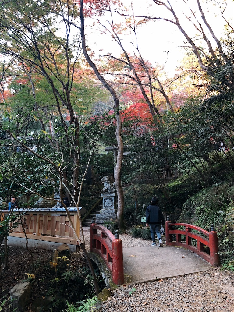 f:id:nigoriyu:20191121213704j:image