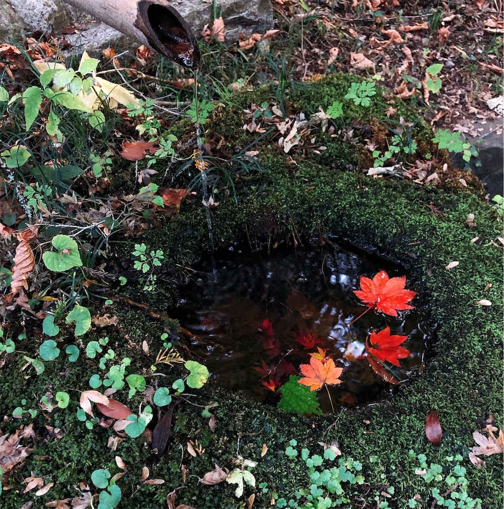 f:id:nigoriyu:20191121213714j:image