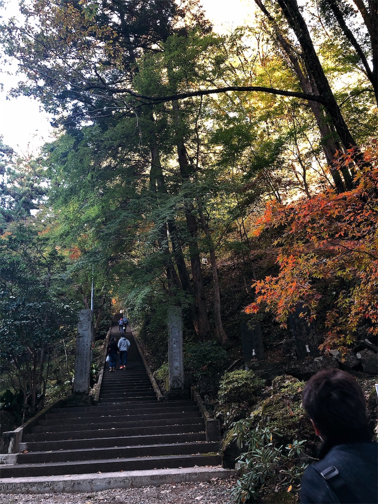 f:id:nigoriyu:20191121213719j:image