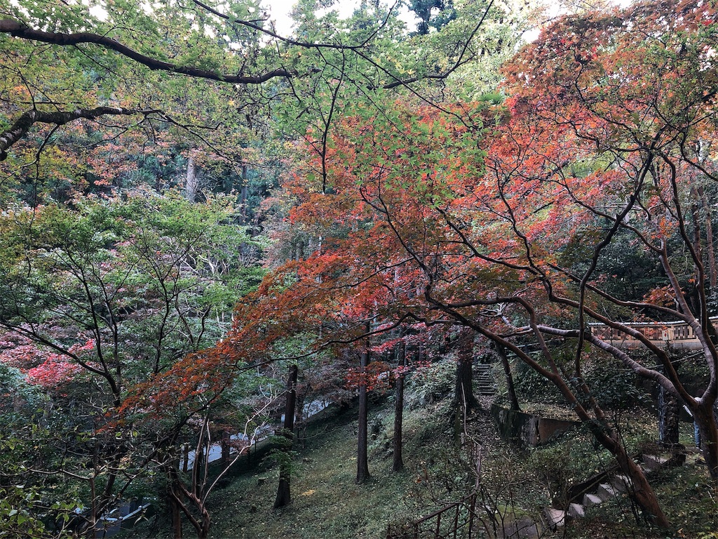 f:id:nigoriyu:20191121213730j:image