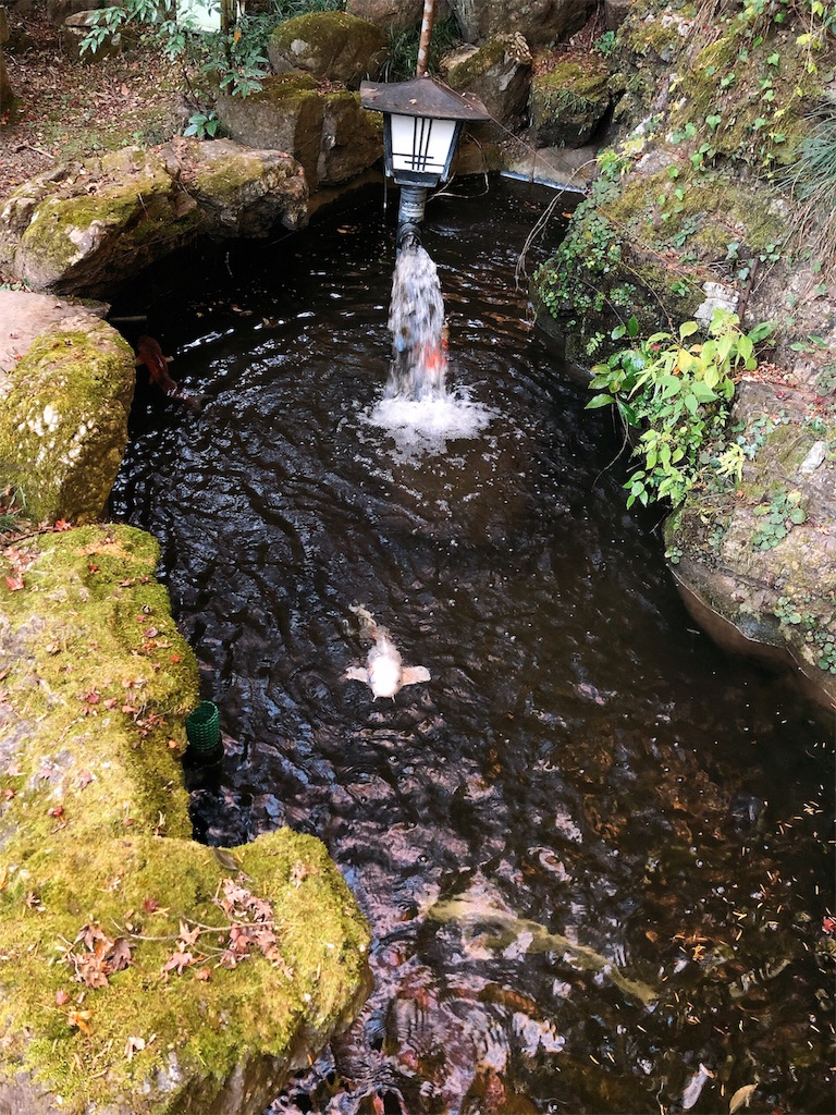 f:id:nigoriyu:20191121213737j:image
