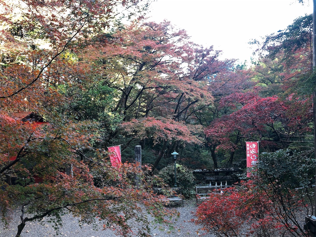 f:id:nigoriyu:20191121213807j:image