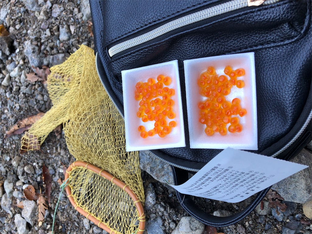 f:id:nigoriyu:20191121214548j:image