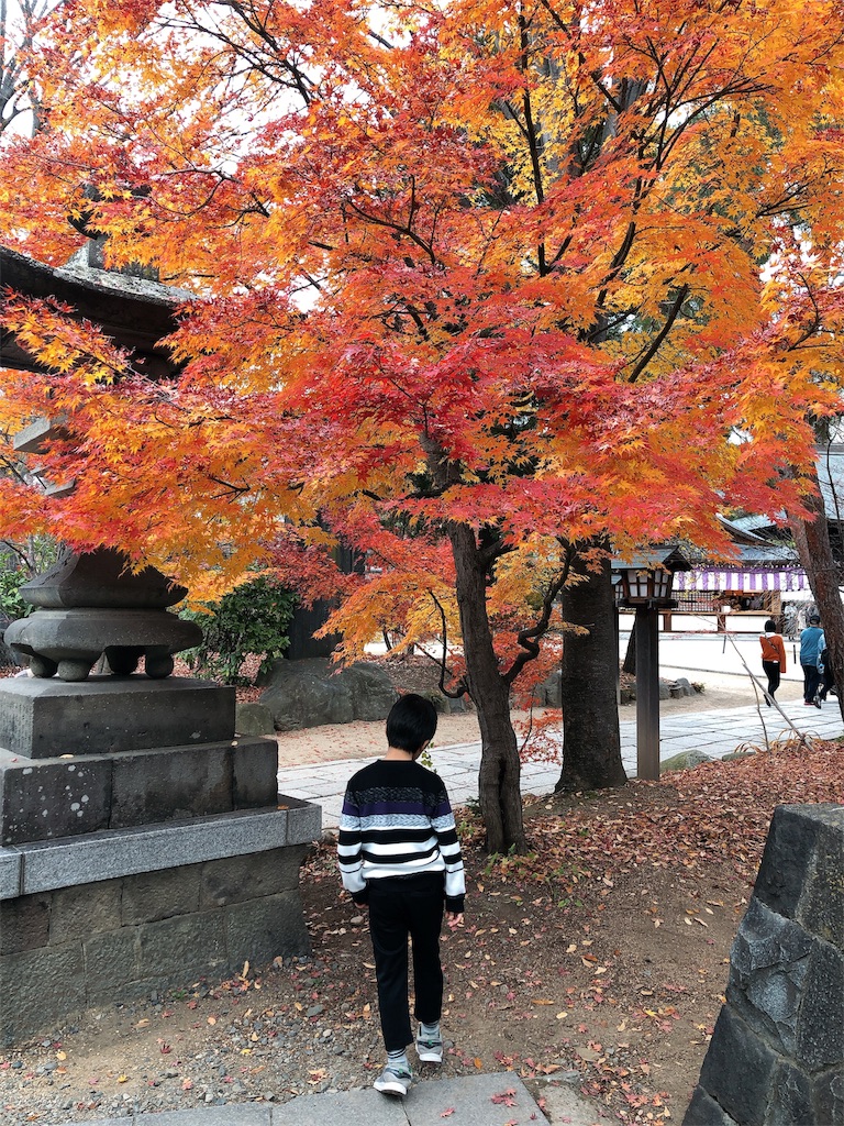 f:id:nigoriyu:20191125113637j:image