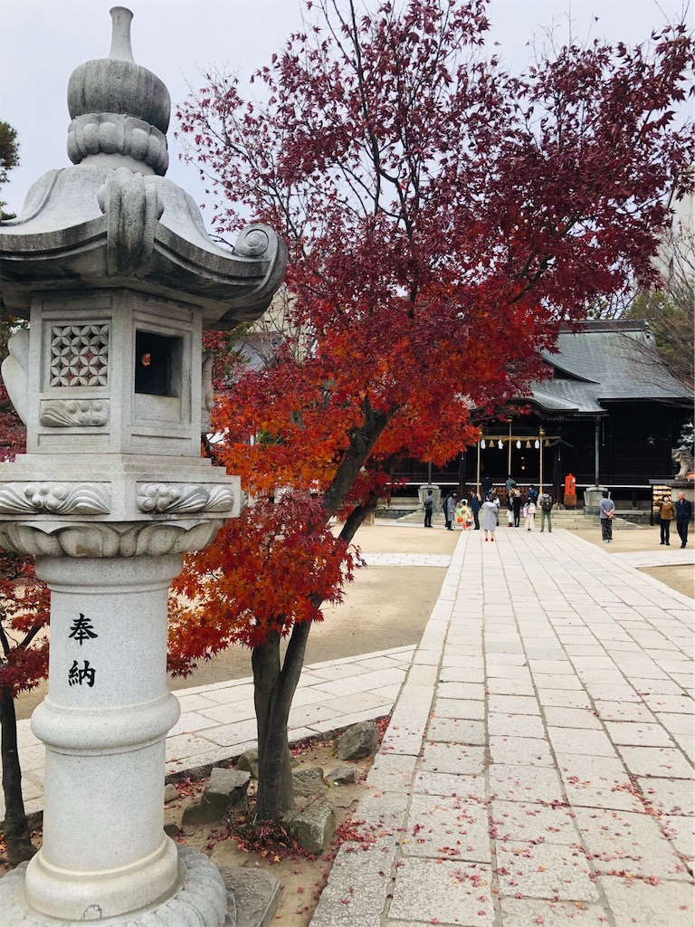 f:id:nigoriyu:20191125121130j:image