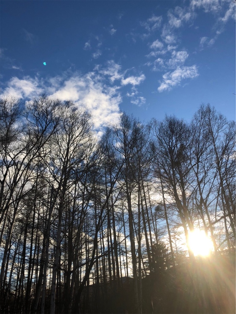 f:id:nigoriyu:20191126112548j:image f:id:nigoriyu:20191126112548j:image