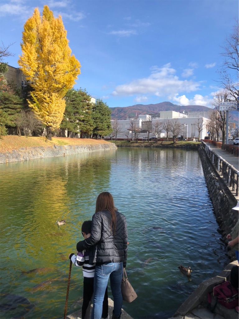 f:id:nigoriyu:20191126233058j:image