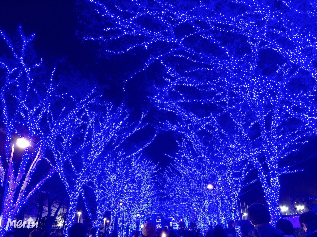 f:id:nigoriyu:20191201103334j:image
