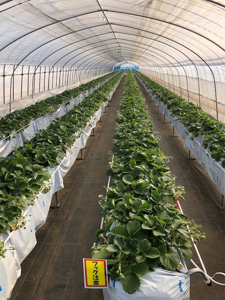 f:id:nigoriyu:20191208142845j:image