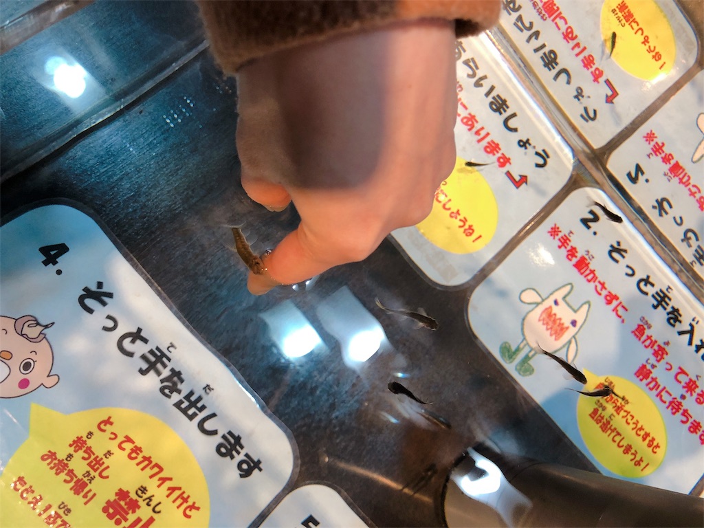 f:id:nigoriyu:20200113211113j:image