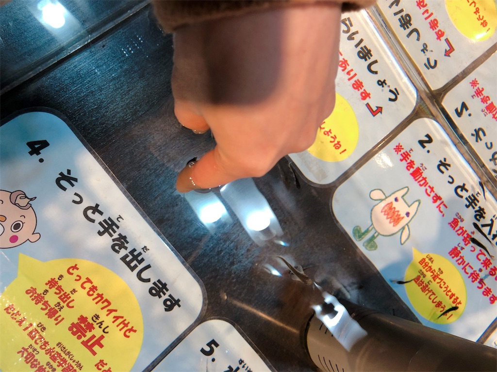 f:id:nigoriyu:20200113211124j:image