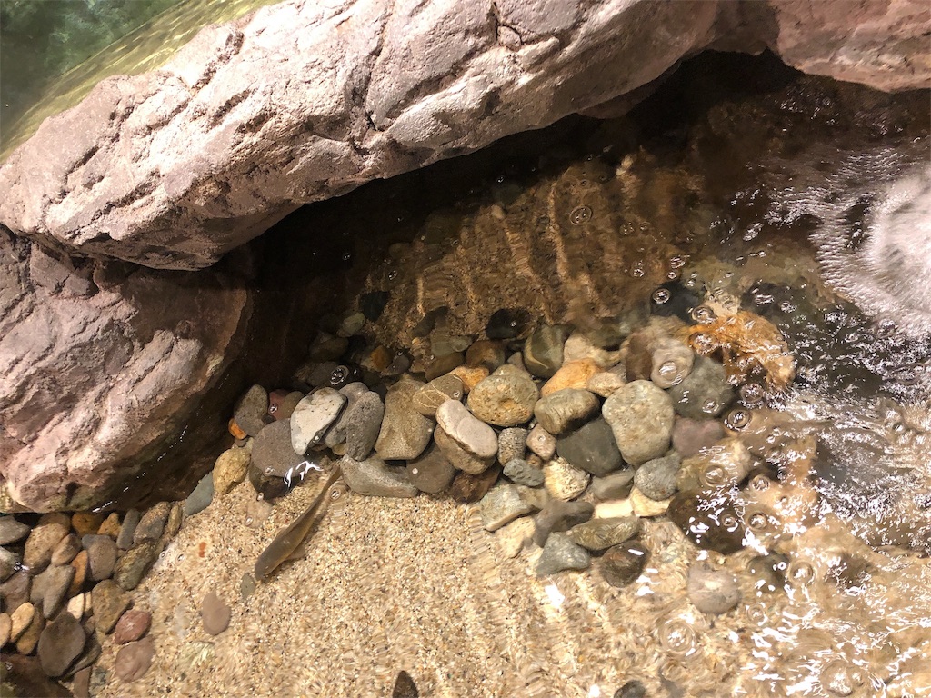 f:id:nigoriyu:20200113211152j:image