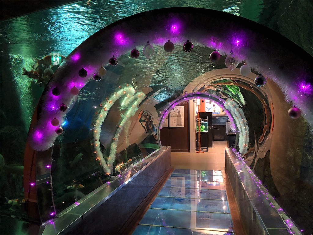 f:id:nigoriyu:20200113211200j:image