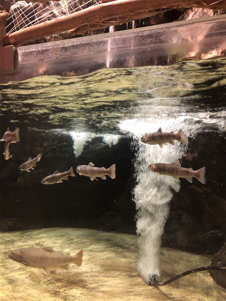 f:id:nigoriyu:20200113211203j:image