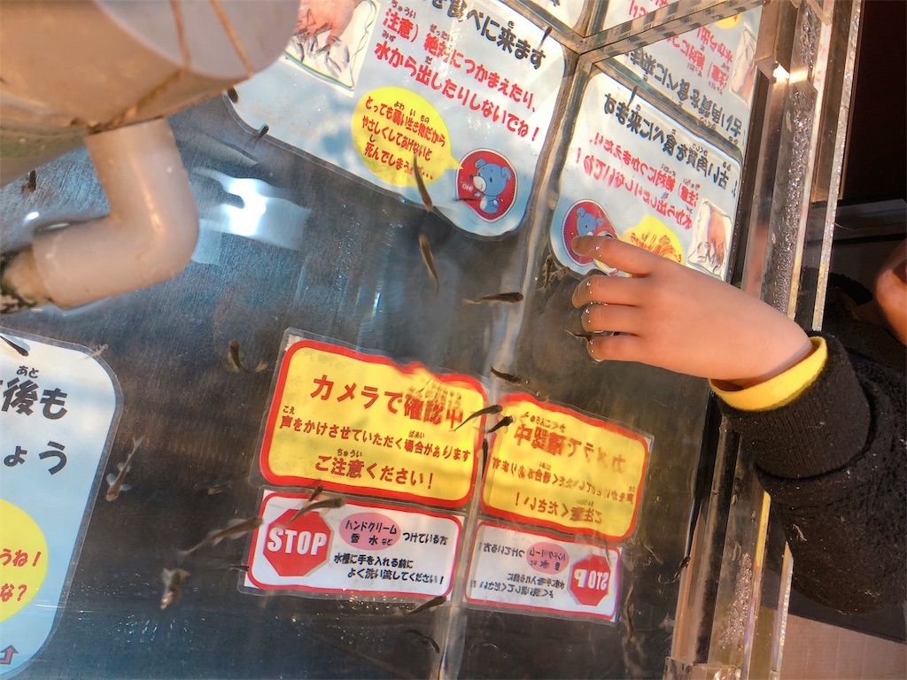 f:id:nigoriyu:20200113211438j:image