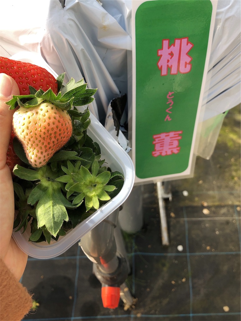 f:id:nigoriyu:20200117013722j:image f:id:nigoriyu:20200117013722j:image