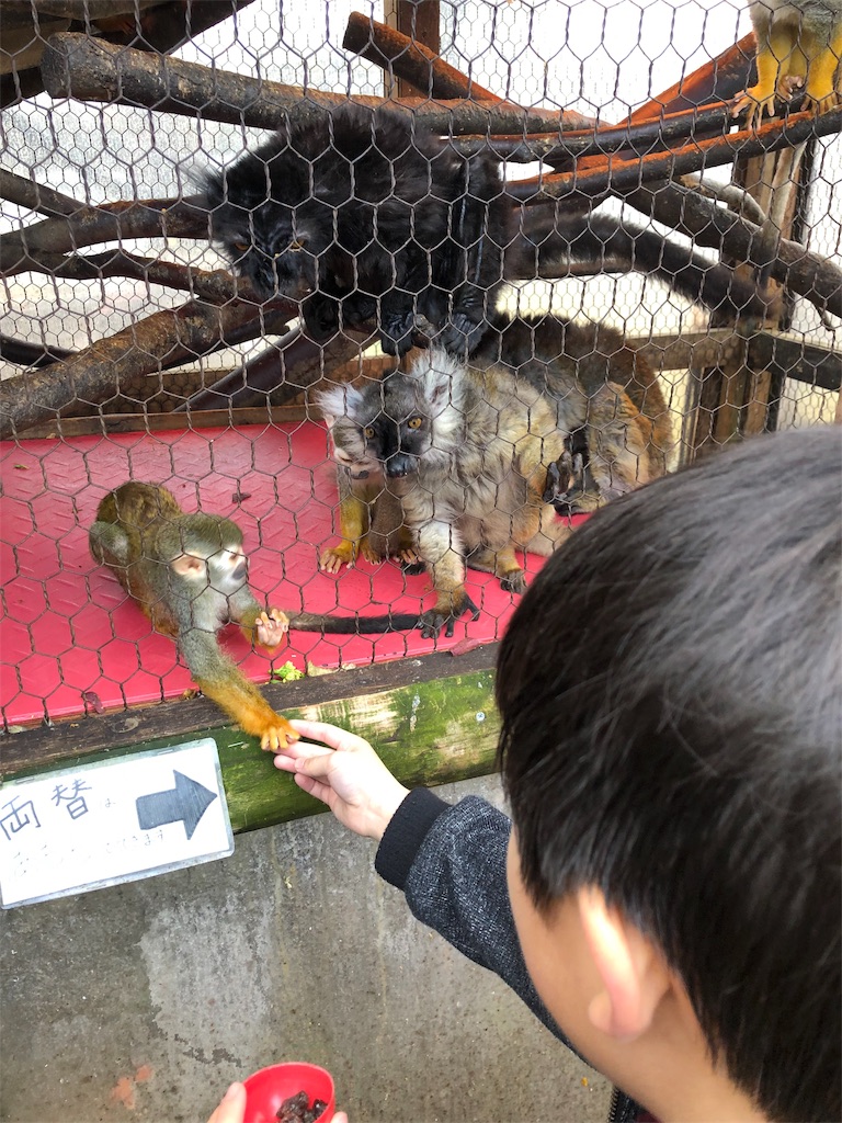 f:id:nigoriyu:20200224180302j:image