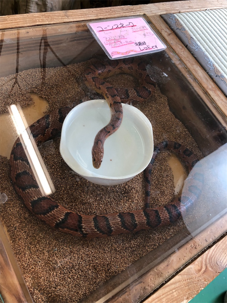 f:id:nigoriyu:20200224180314j:image