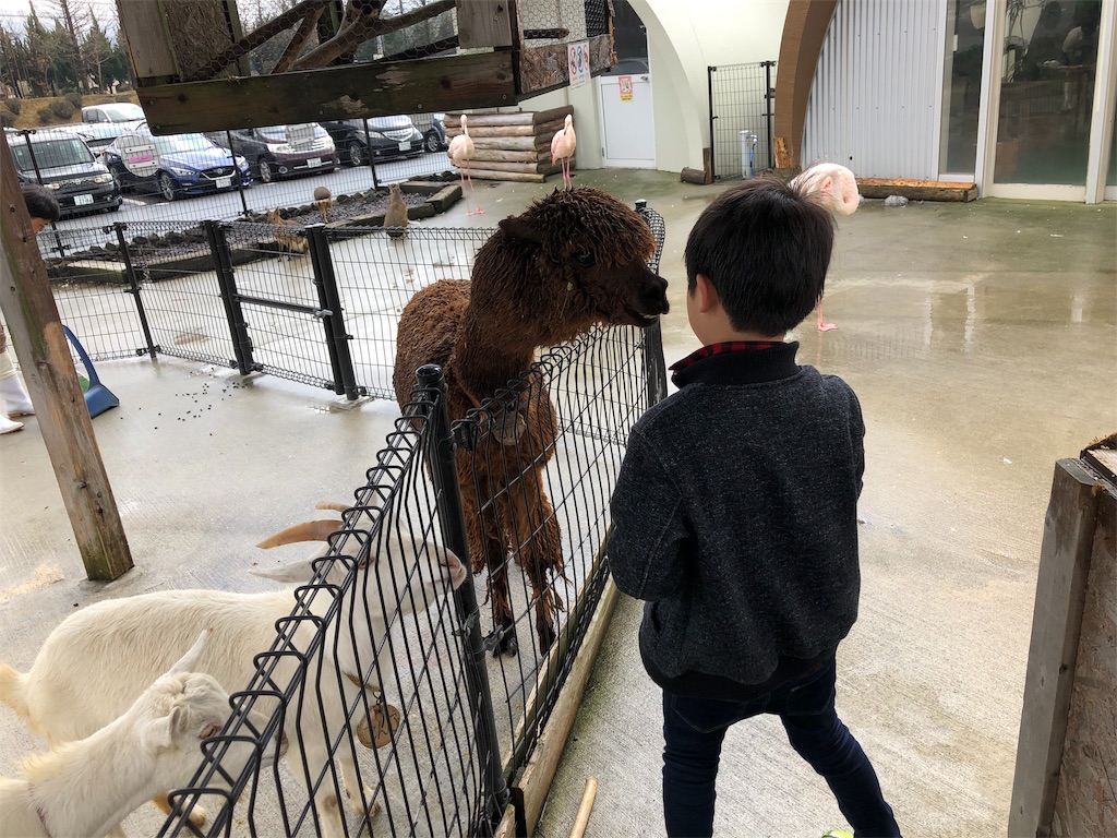 f:id:nigoriyu:20200224180323j:image