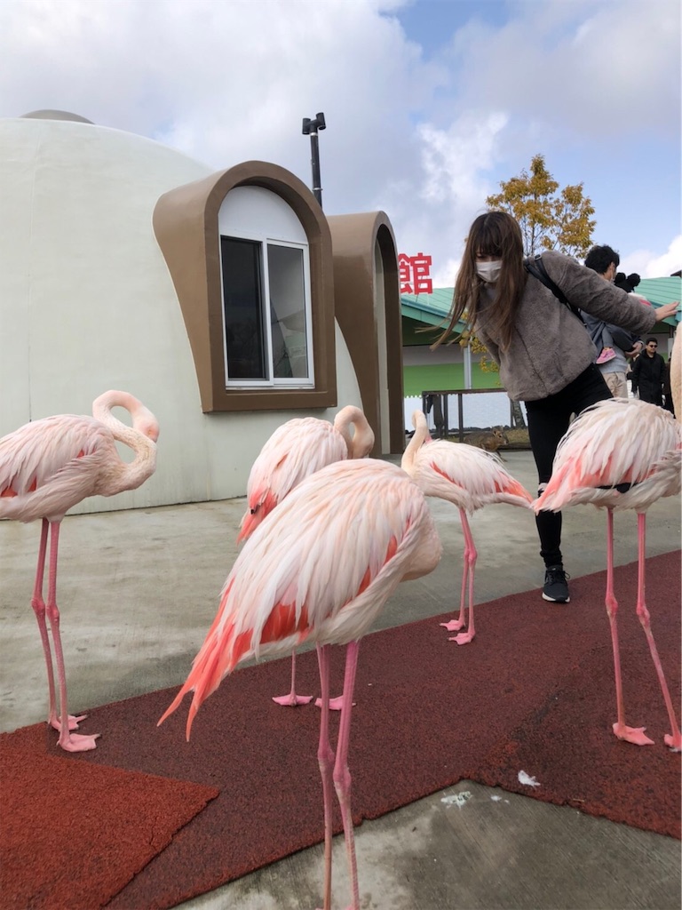 f:id:nigoriyu:20200224180328j:image