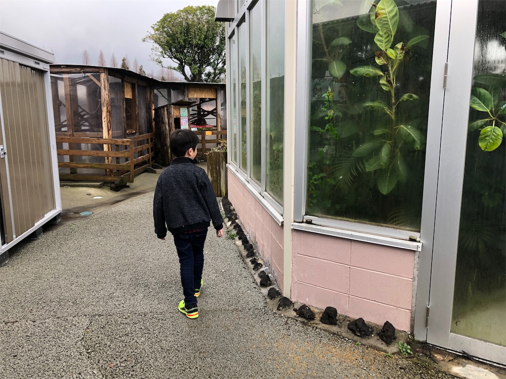 f:id:nigoriyu:20200224180336j:image