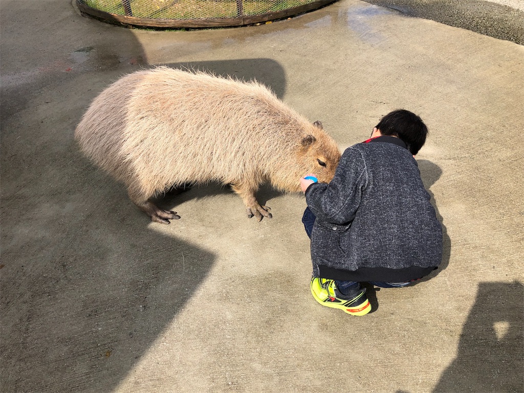 f:id:nigoriyu:20200224180344j:image