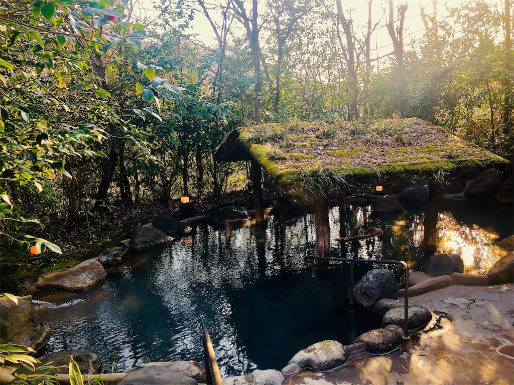 f:id:nigoriyu:20200225221706j:image