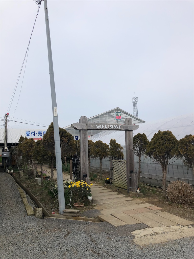 f:id:nigoriyu:20200326214154j:image