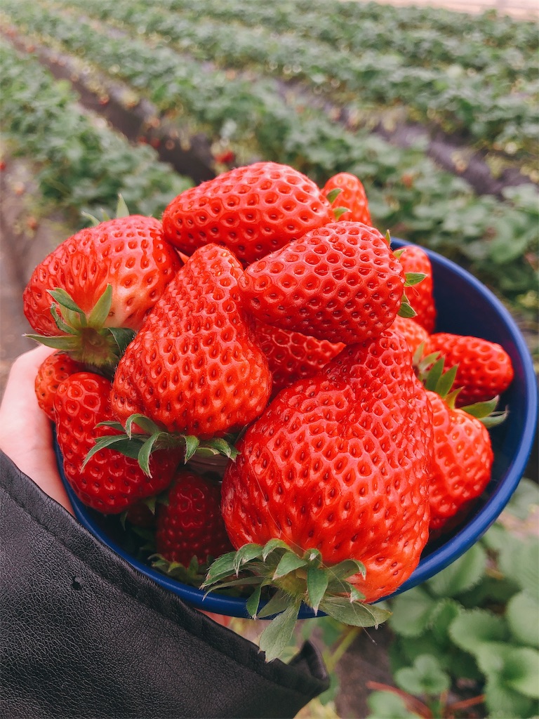 f:id:nigoriyu:20200326214157j:image