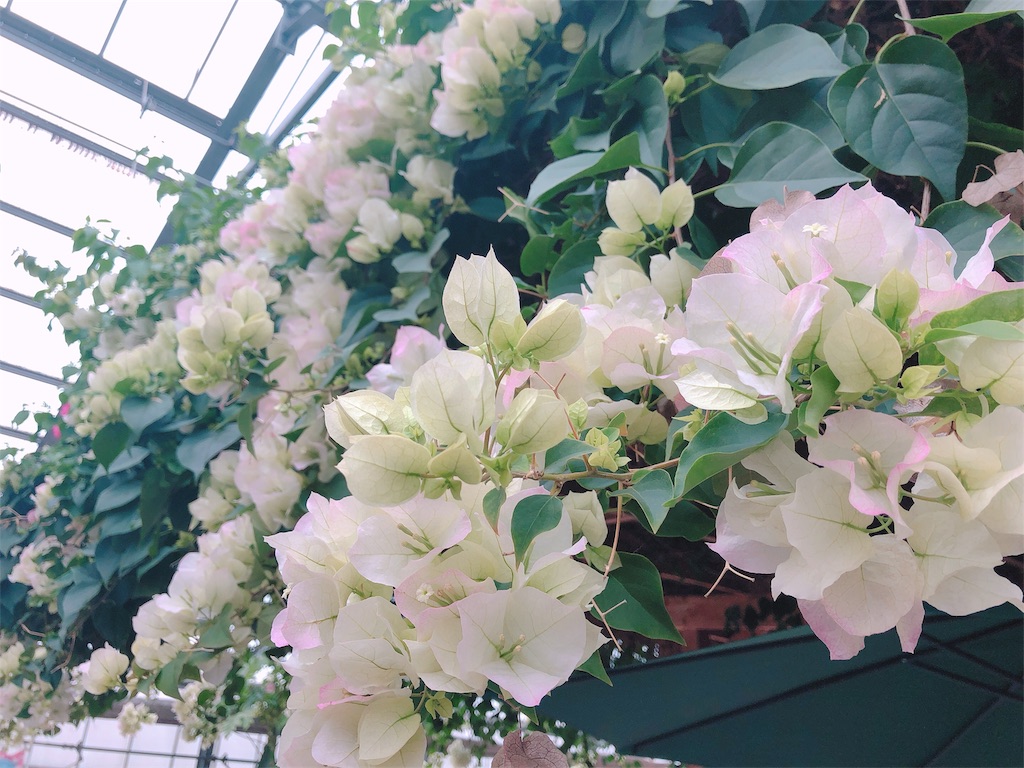 f:id:nigoriyu:20200326214201j:image