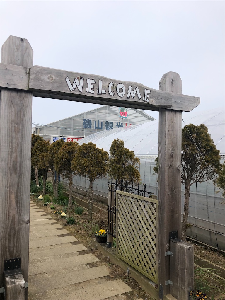 f:id:nigoriyu:20200326214205j:image