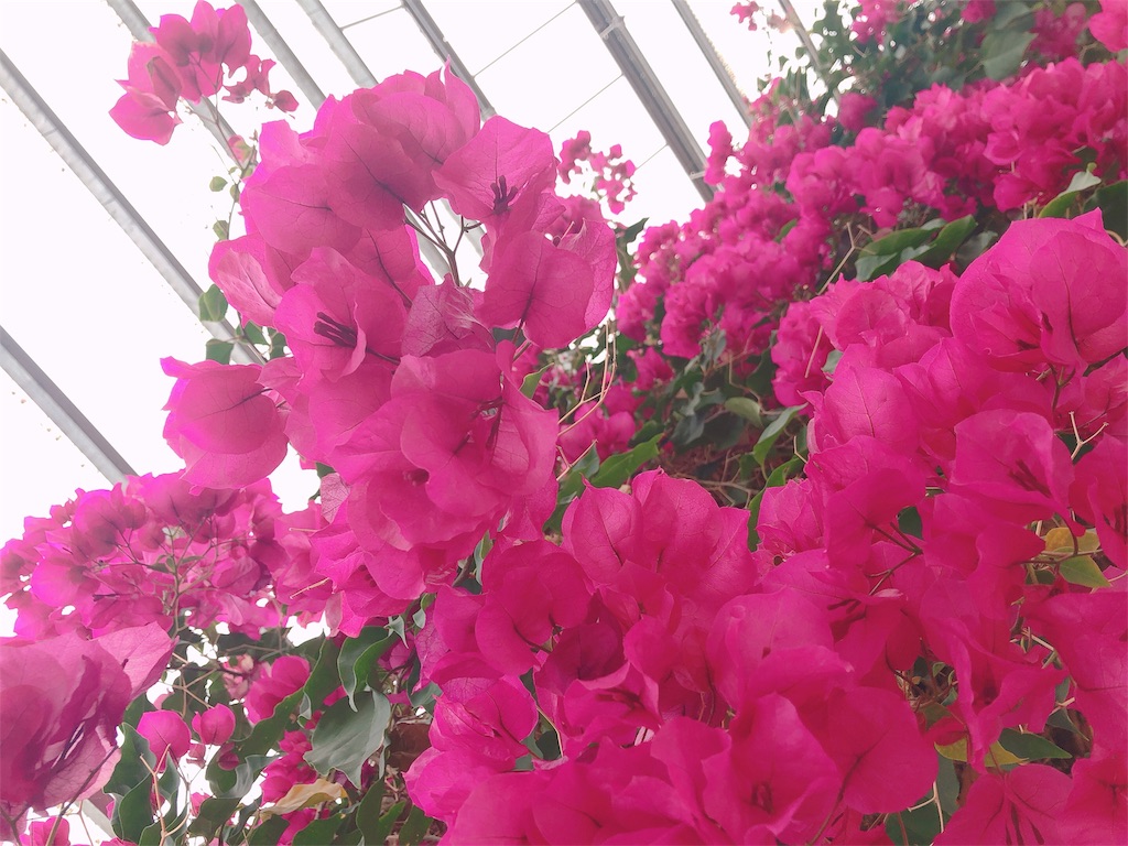 f:id:nigoriyu:20200326214216j:image