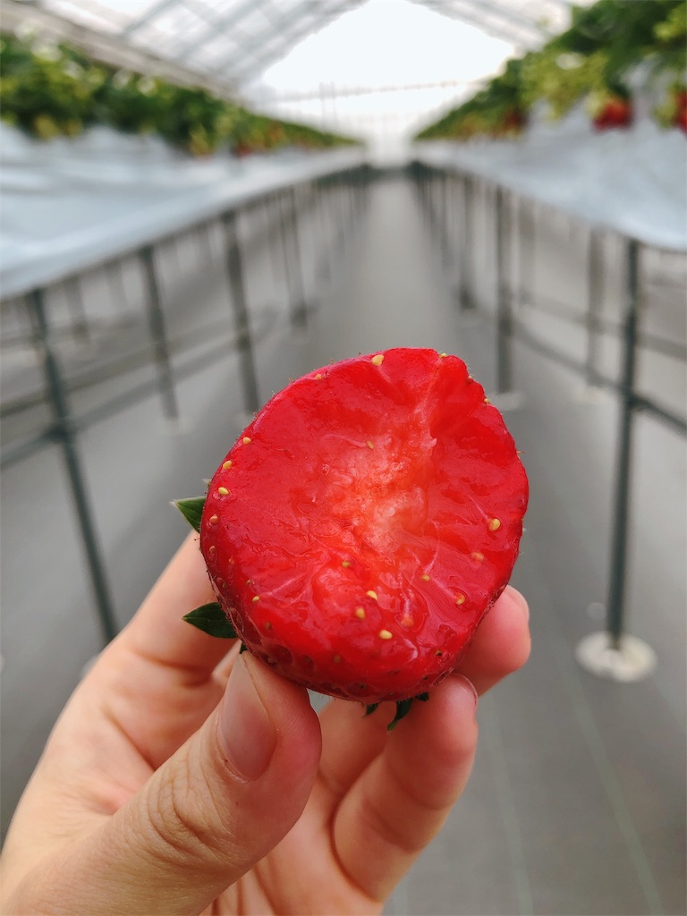 f:id:nigoriyu:20200507055653j:image