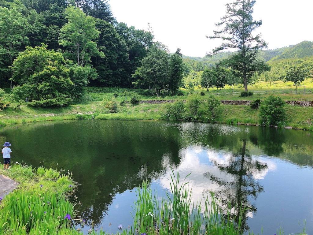 f:id:nigoriyu:20200627010329j:image f:id:nigoriyu:20200627010329j:image