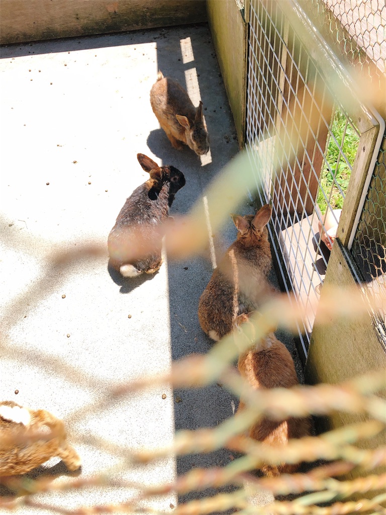 f:id:nigoriyu:20200627010351j:image f:id:nigoriyu:20200627010351j:image