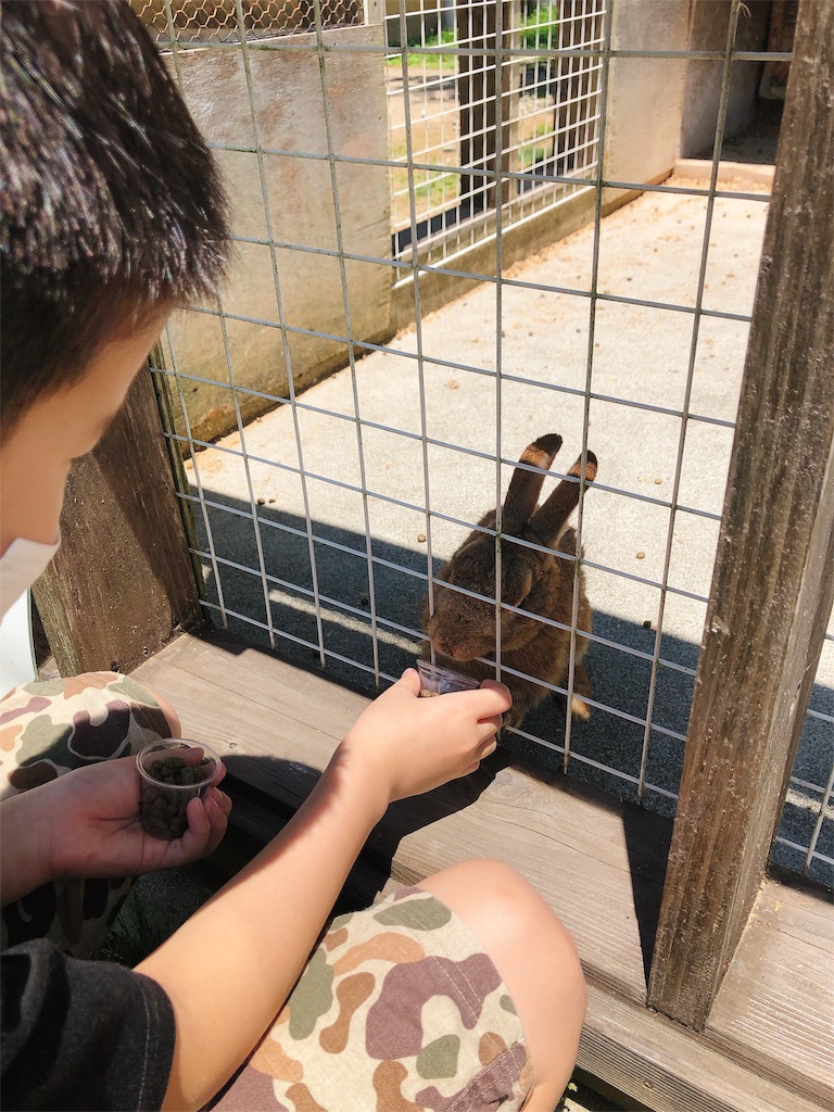 f:id:nigoriyu:20200627010355j:image f:id:nigoriyu:20200627010355j:image