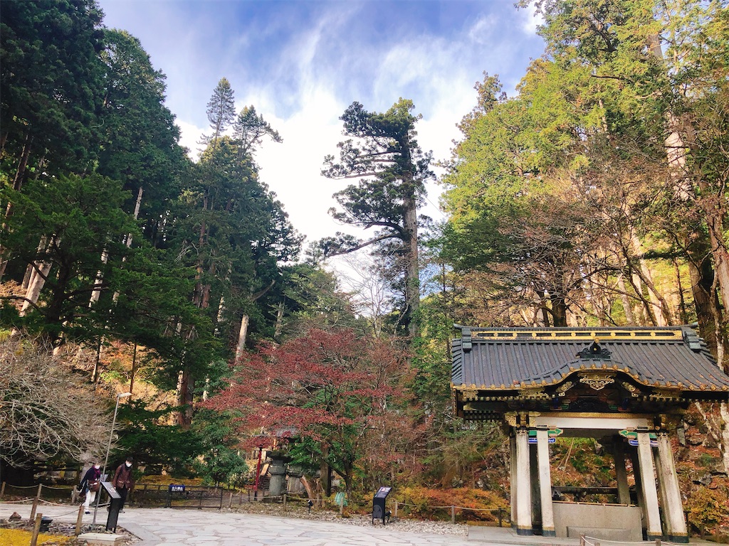 f:id:nigoriyu:20201128201630j:image