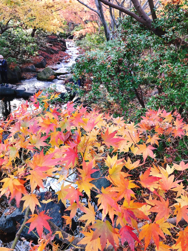 f:id:nigoriyu:20201210065057j:image