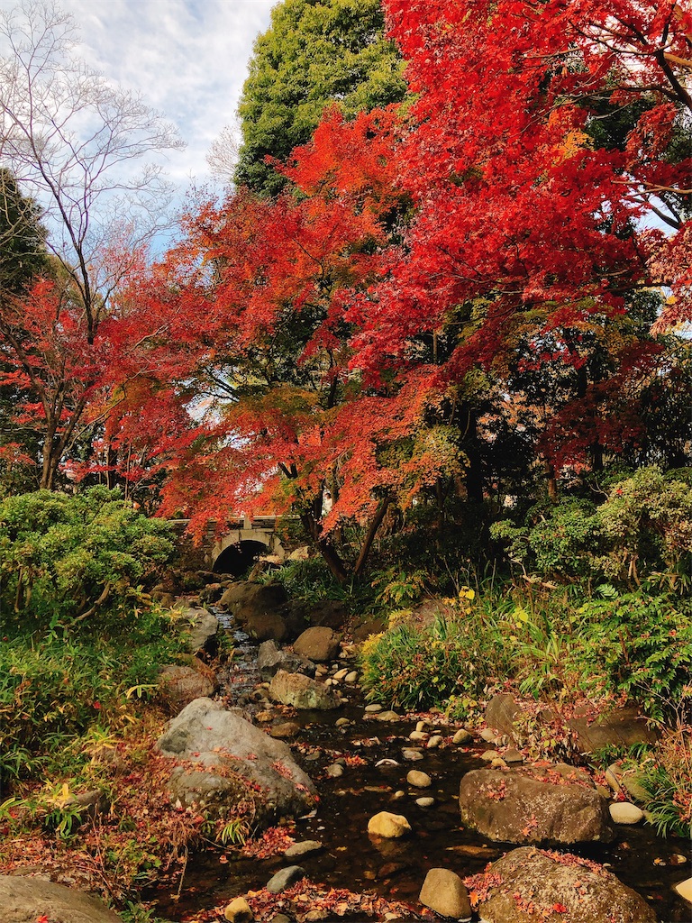 f:id:nigoriyu:20201210065147j:image