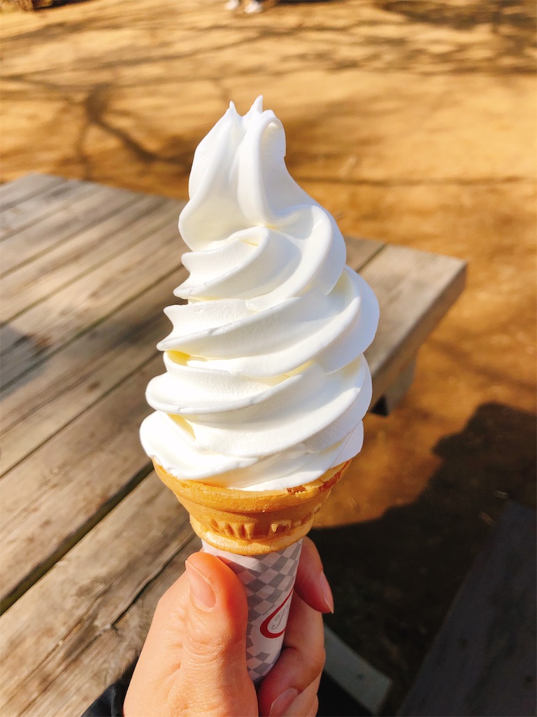 f:id:nigoriyu:20210211211631j:image