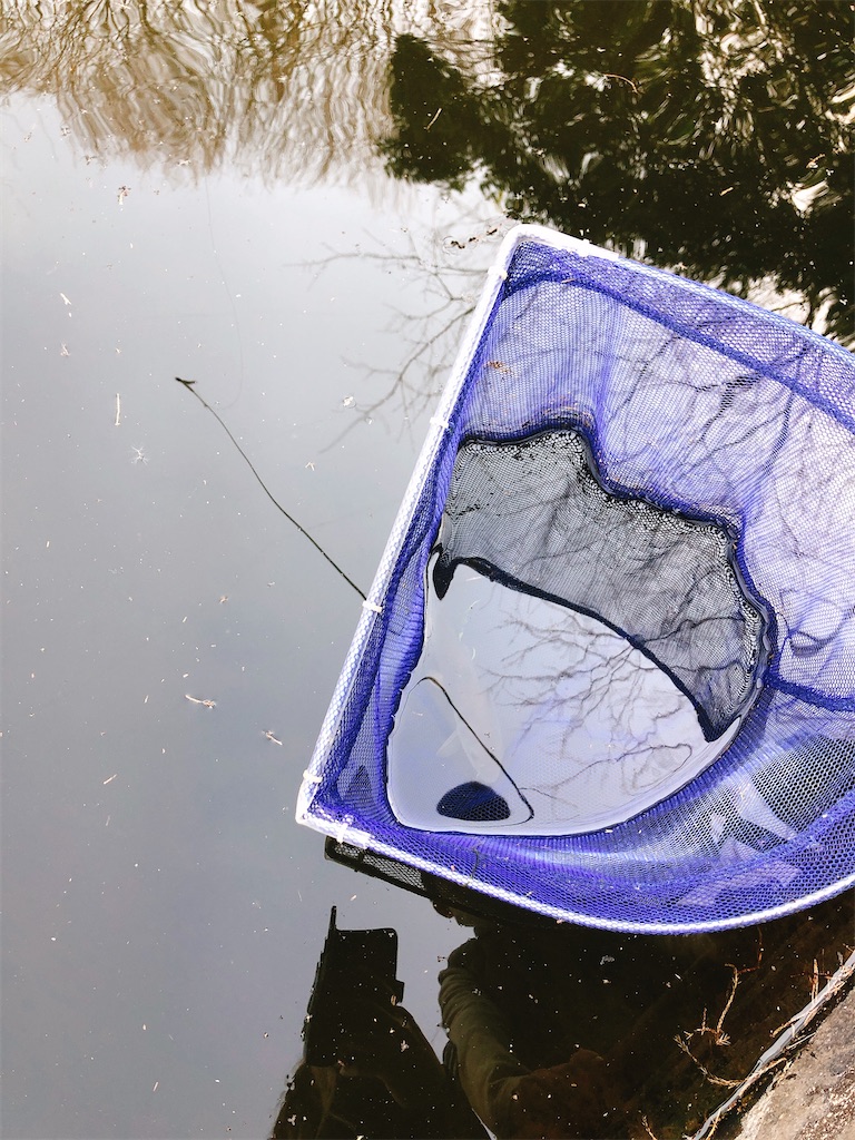 f:id:nigoriyu:20210211211647j:image